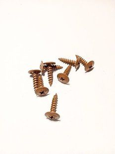 Самонаріз з прес-шайбою без бура 4,2х19 RAL 8003 (108-111) 000046027 фото